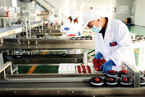 鄂爾多斯 建設(shè)農(nóng)副產(chǎn)品電商服務(wù)中心，賦能養(yǎng)生保健服務(wù)新生態(tài)